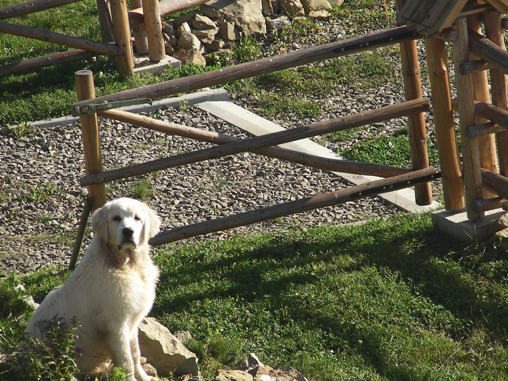 Willa Grywald Cameră foto